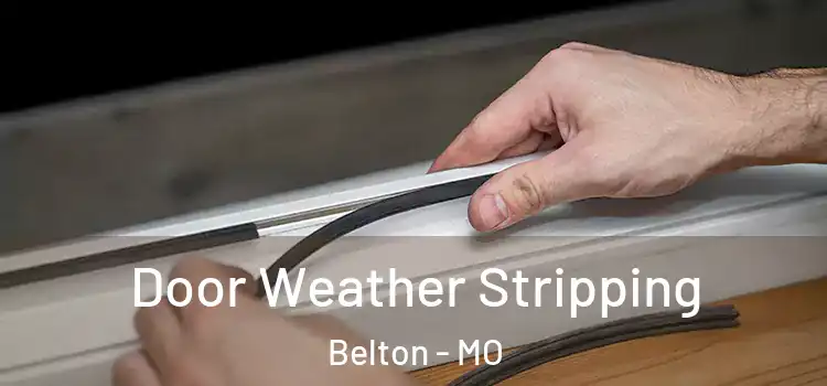  Door Weather Stripping Belton - MO