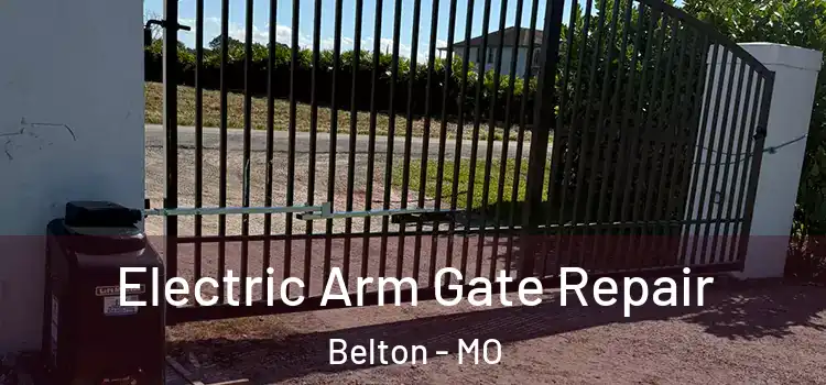  Electric Arm Gate Repair Belton - MO