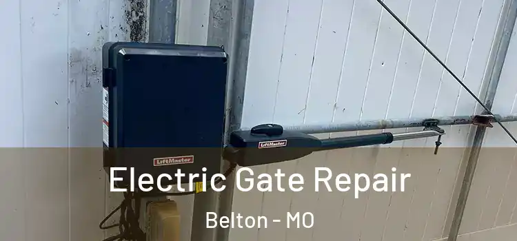  Electric Gate Repair Belton - MO