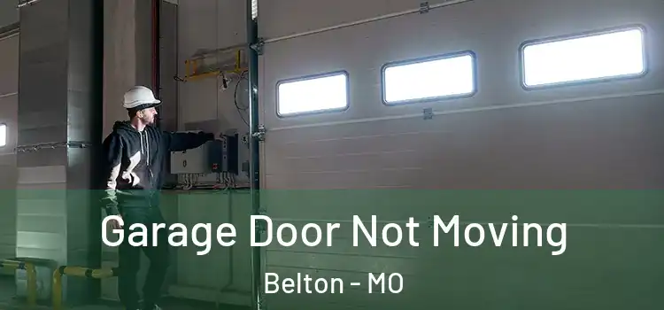  Garage Door Not Moving Belton - MO