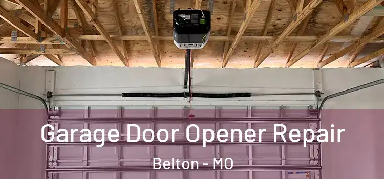  Garage Door Opener Repair Belton - MO