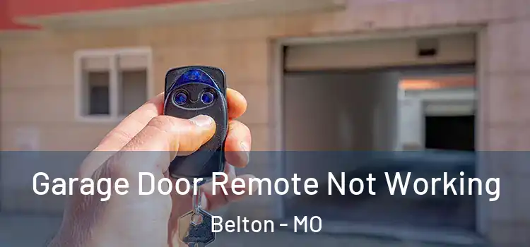  Garage Door Remote Not Working Belton - MO