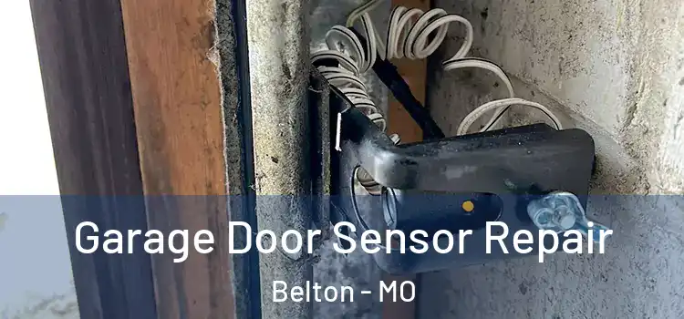  Garage Door Sensor Repair Belton - MO
