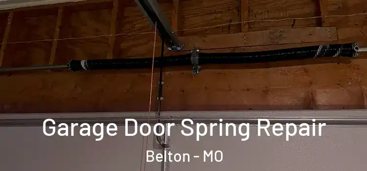  Garage Door Spring Repair Belton - MO