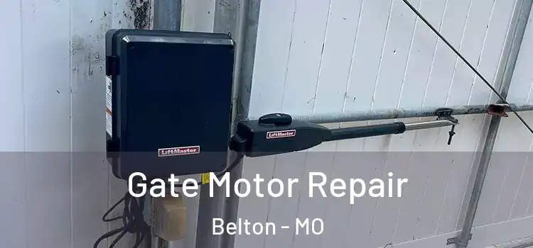  Gate Motor Repair Belton - MO
