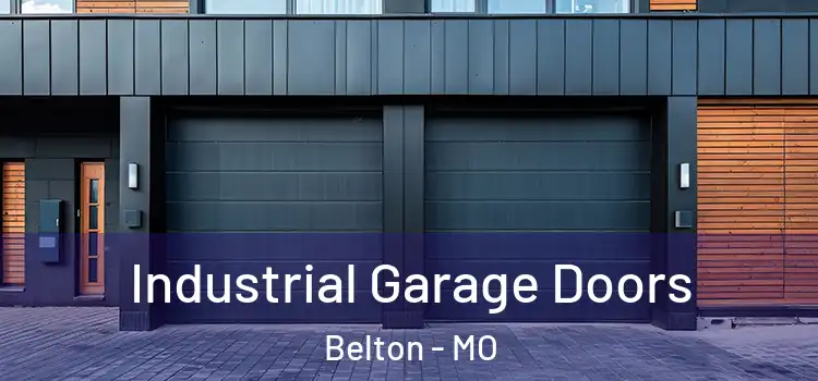  Industrial Garage Doors Belton - MO