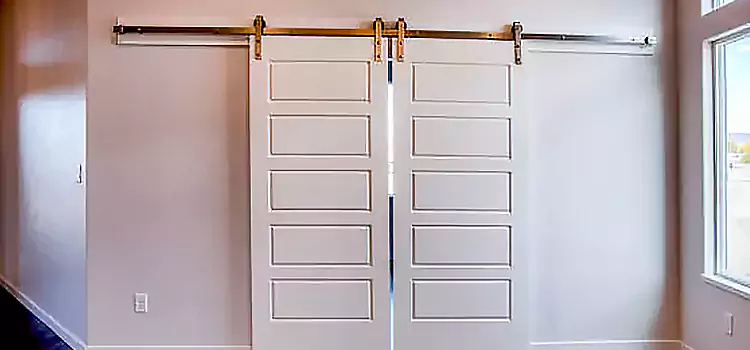 Glass Barn Door with Installation Hardware Kit Belton