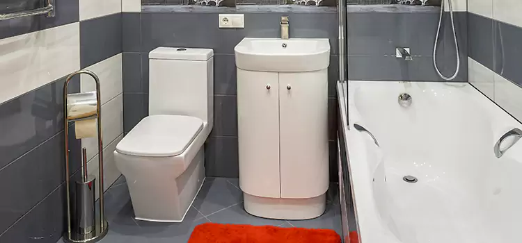 Hansgrohe Shaving Mirror Belton