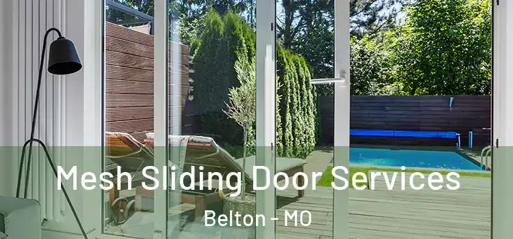  Mesh Sliding Door Services Belton - MO