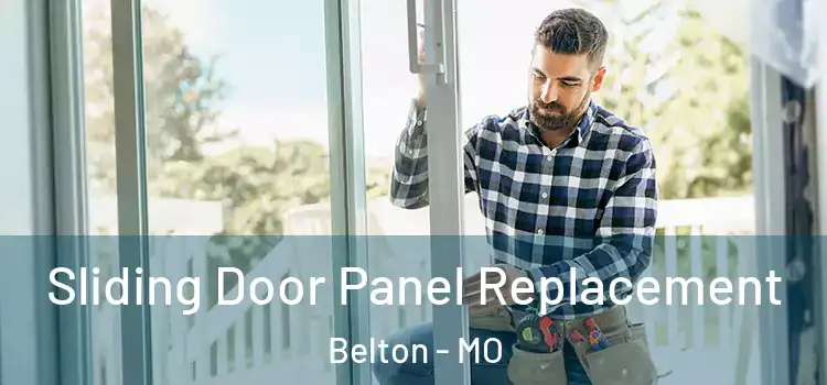  Sliding Door Panel Replacement Belton - MO