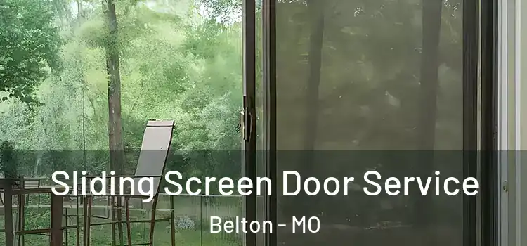  Sliding Screen Door Service Belton - MO